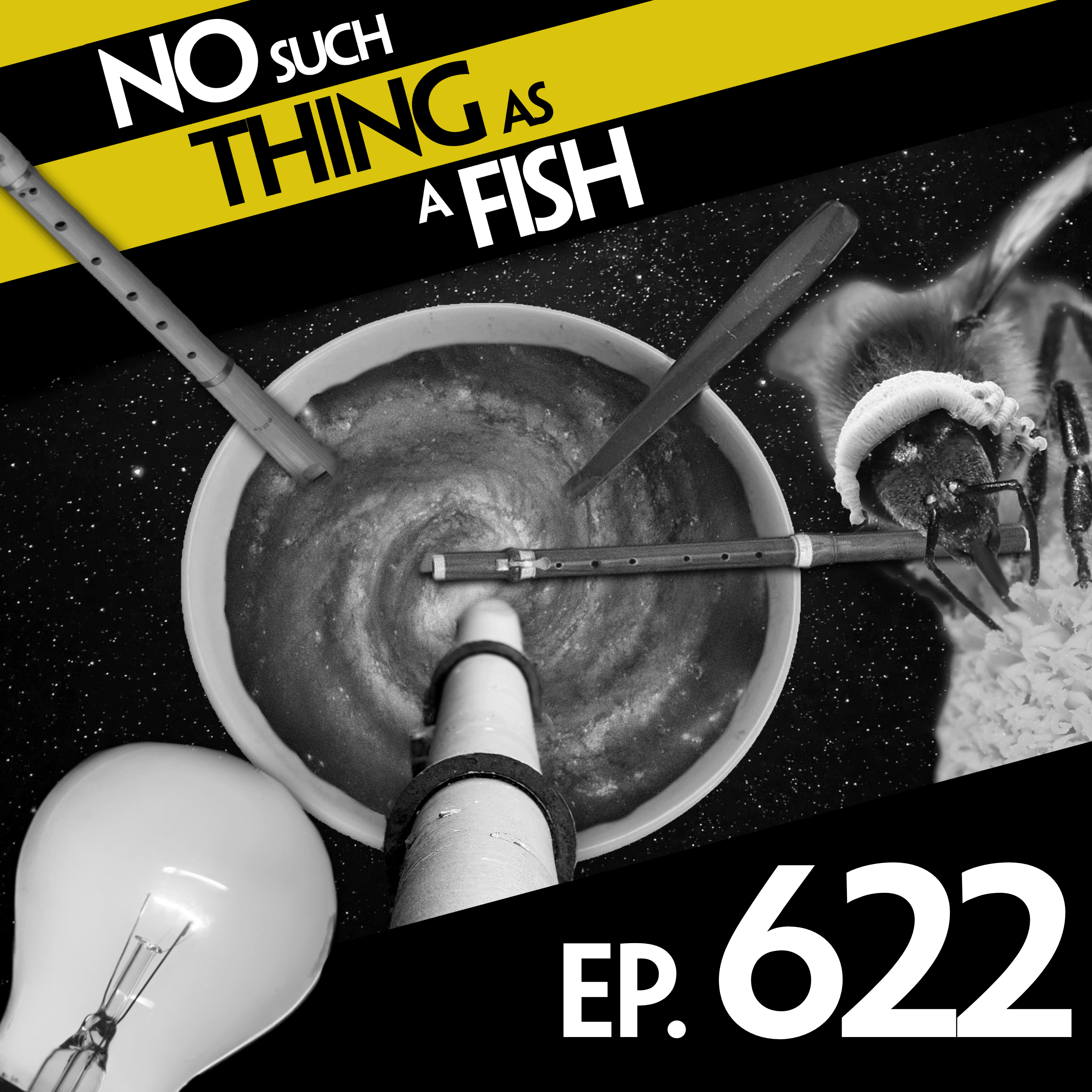 No Such Thing As A Fish podcast cover art