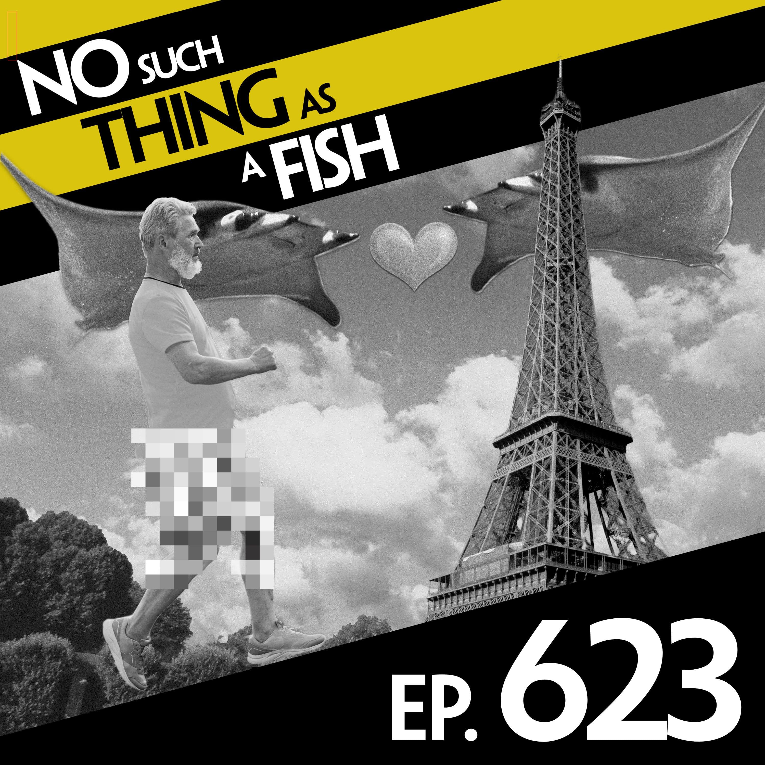 No Such Thing As A Fish podcast cover art