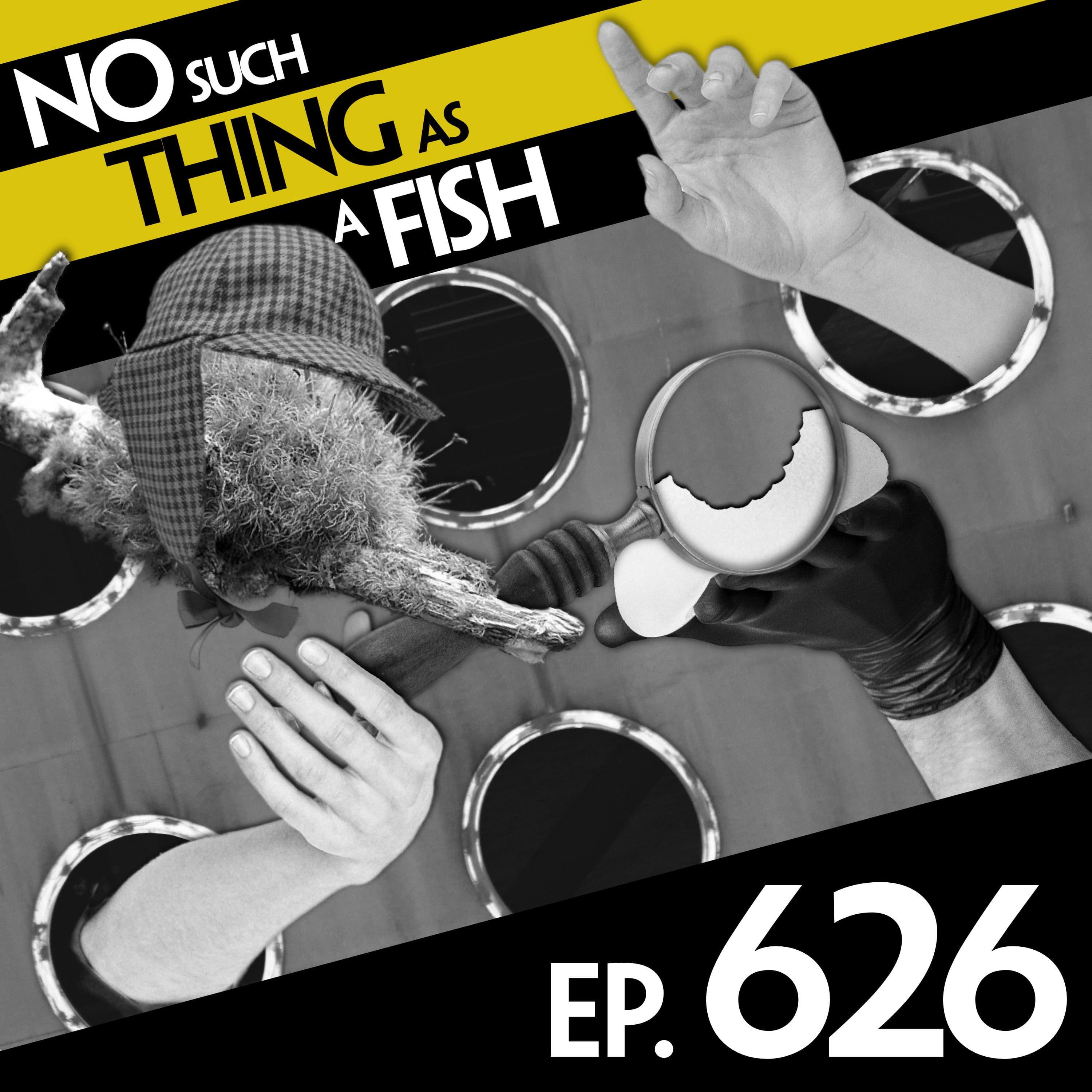 No Such Thing As A Fish podcast cover art