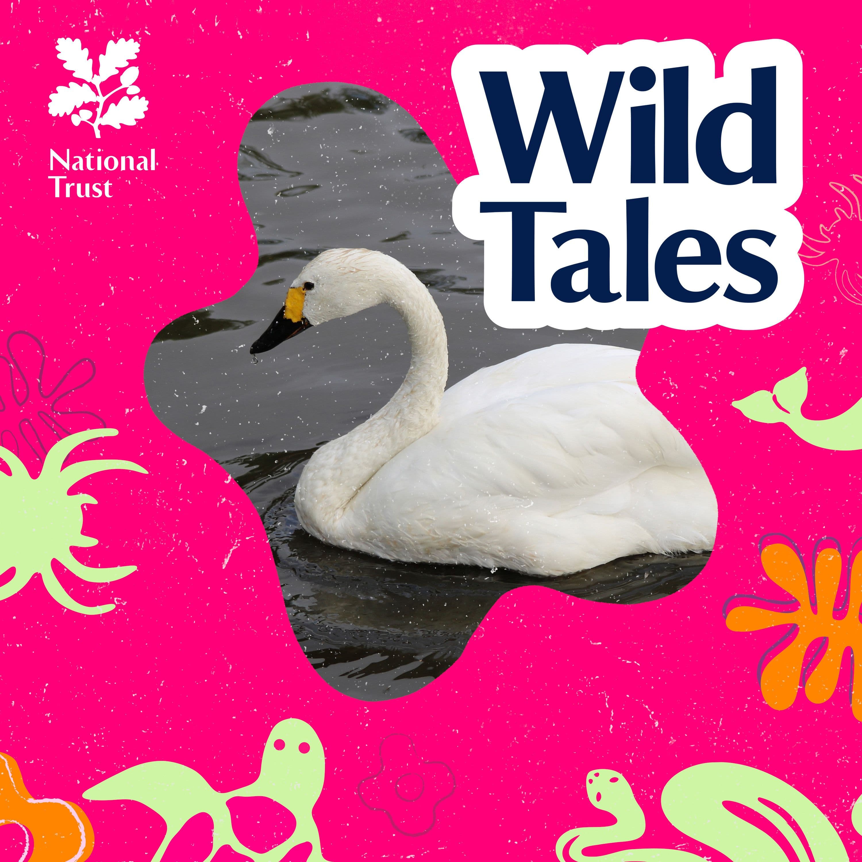 Wild Tales | Nature Podcast cover art