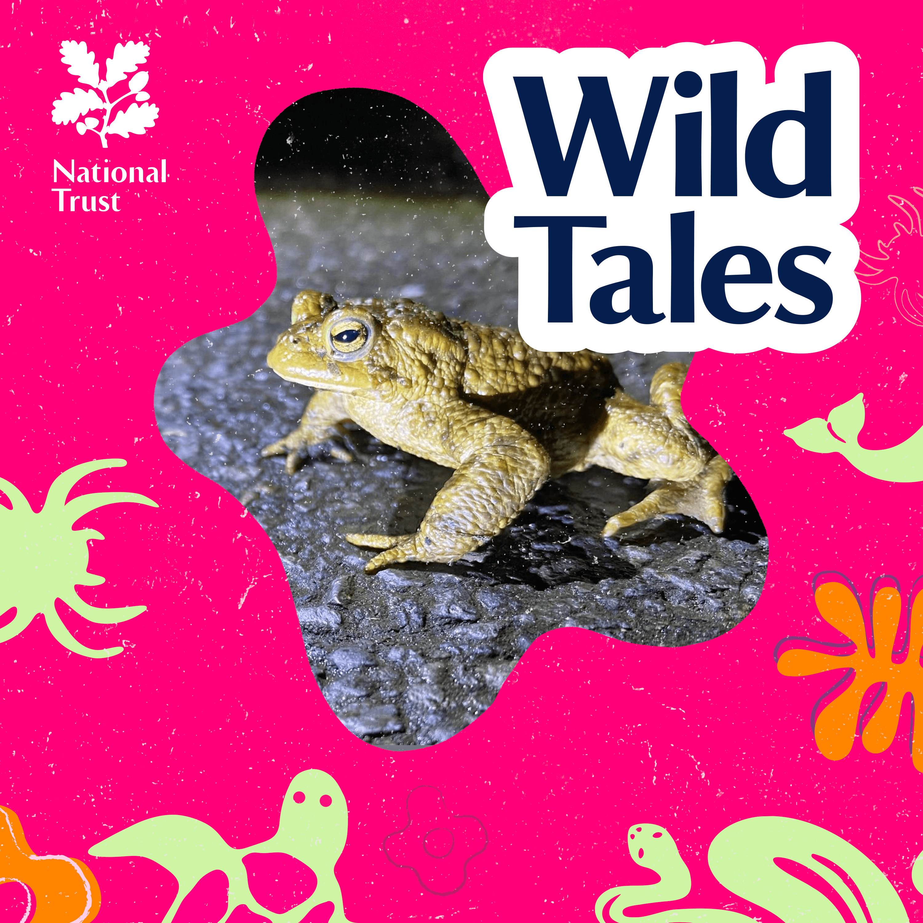 Wild Tales | Nature Podcast cover art