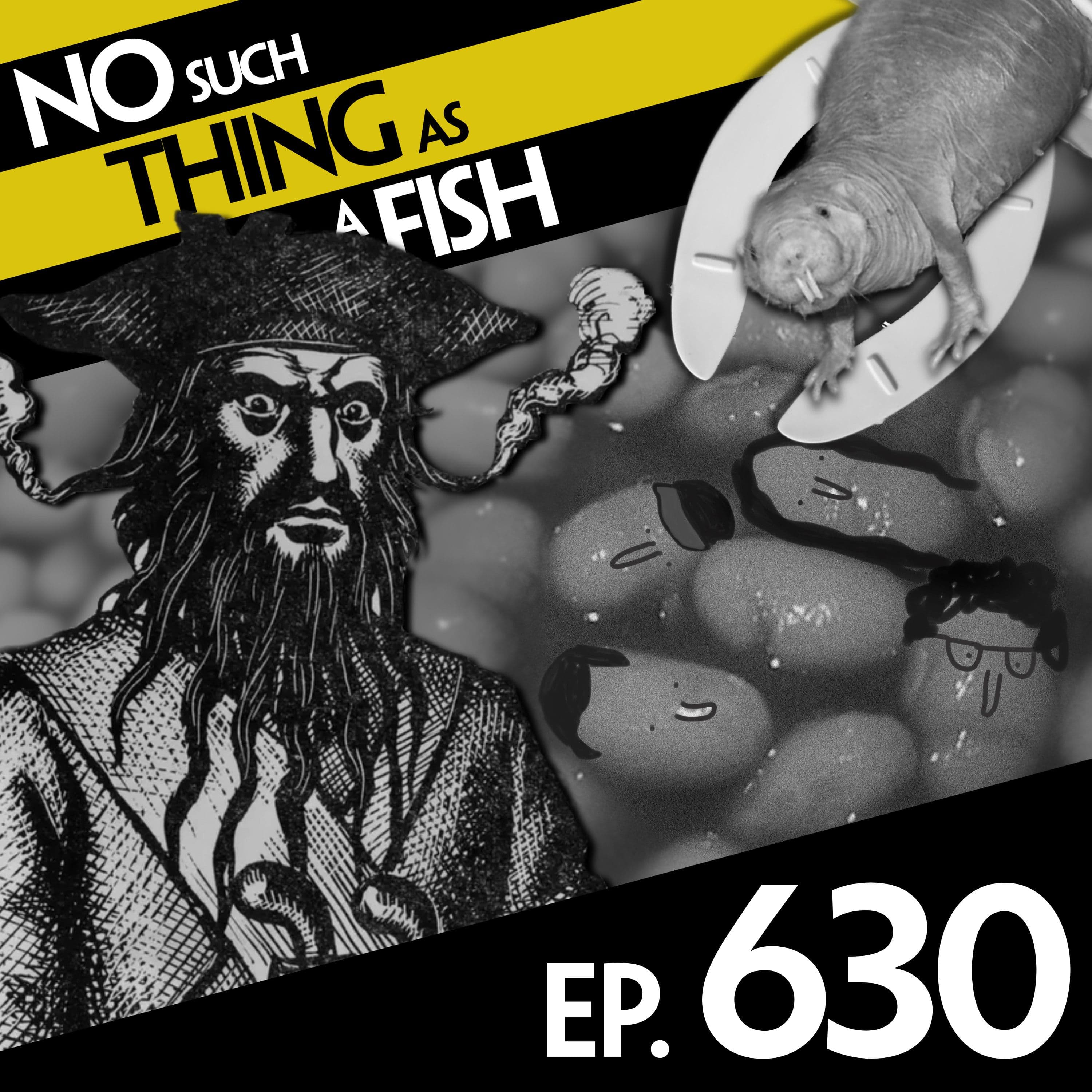 No Such Thing As A Fish podcast cover art