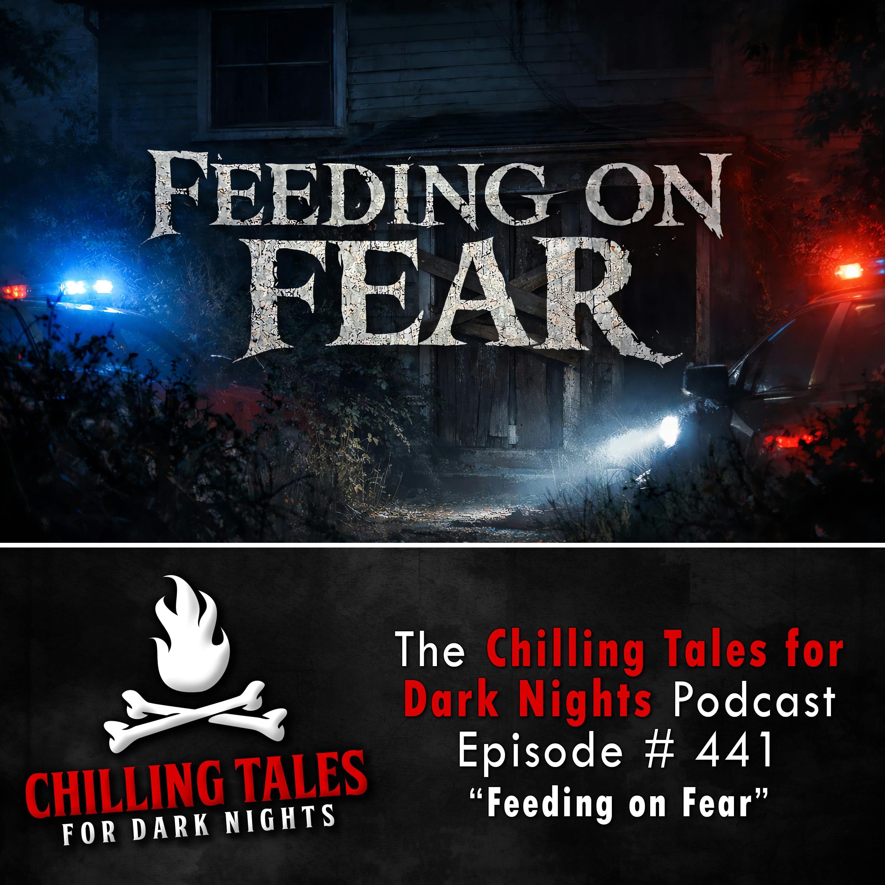 Chilling Tales for Dark Nights — A Horror Fiction Anthology and Scary Stories Series Podcast cover art