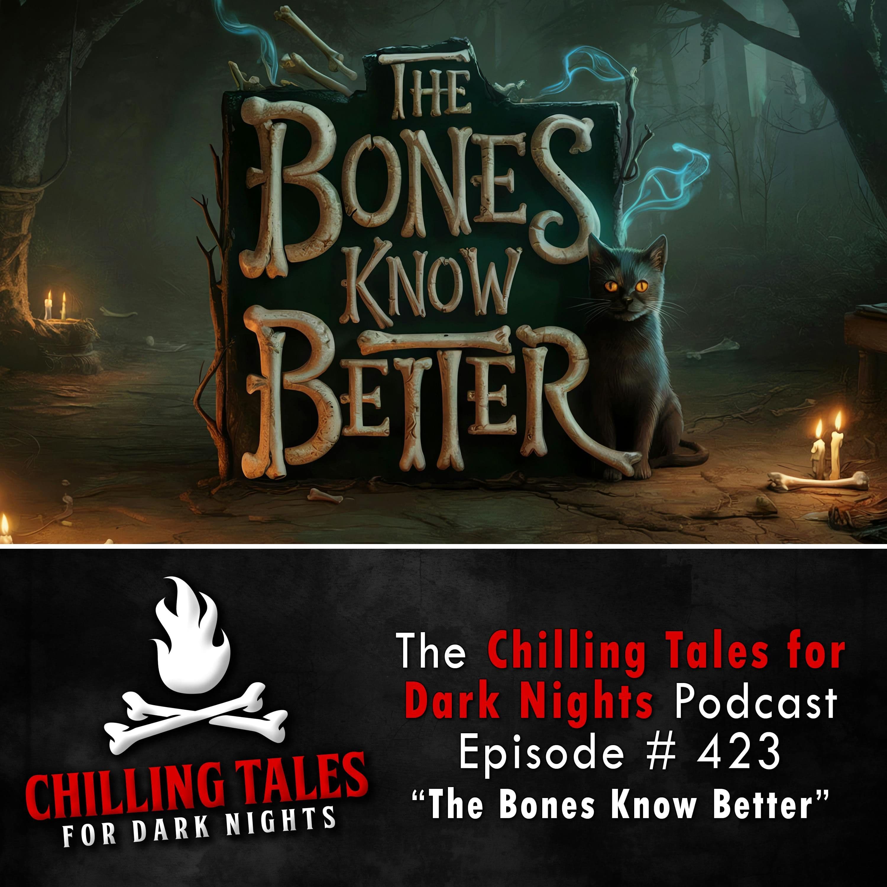Chilling Tales for Dark Nights — A Horror Fiction Anthology and Scary Stories Series Podcast cover art