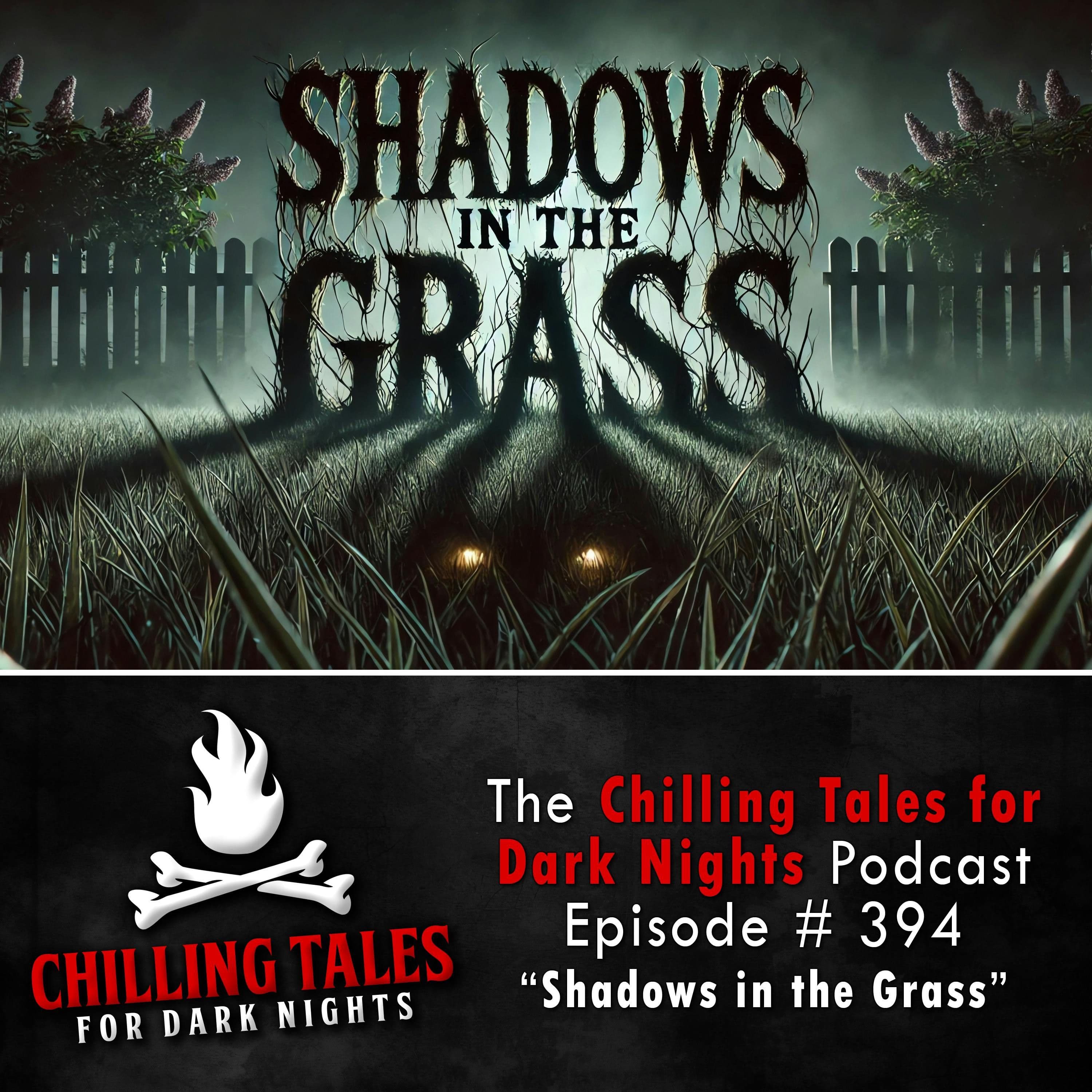 Chilling Tales for Dark Nights — A Horror Fiction Anthology and Scary Stories Series Podcast cover art
