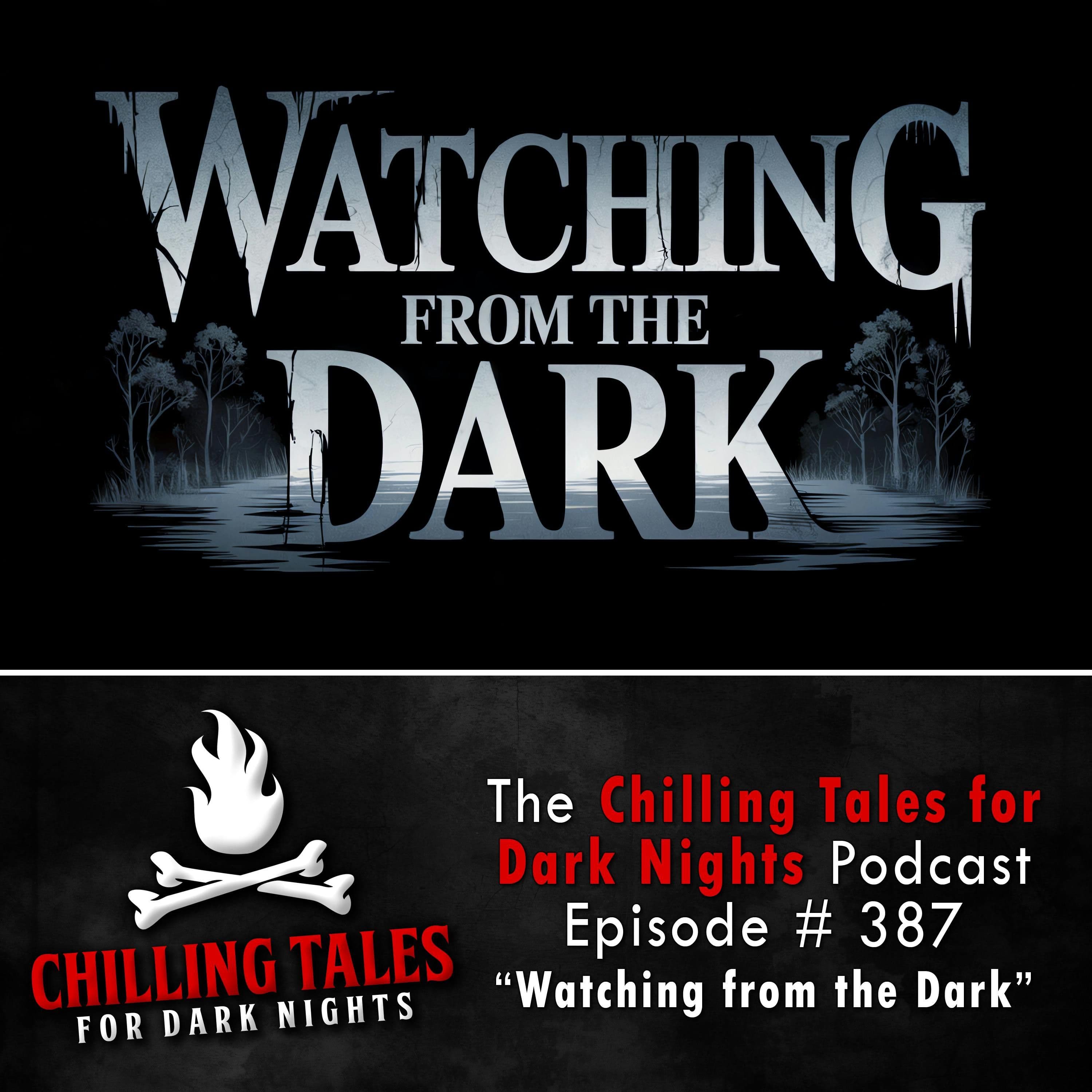 Chilling Tales for Dark Nights — A Horror Fiction Anthology and Scary Stories Series Podcast cover art
