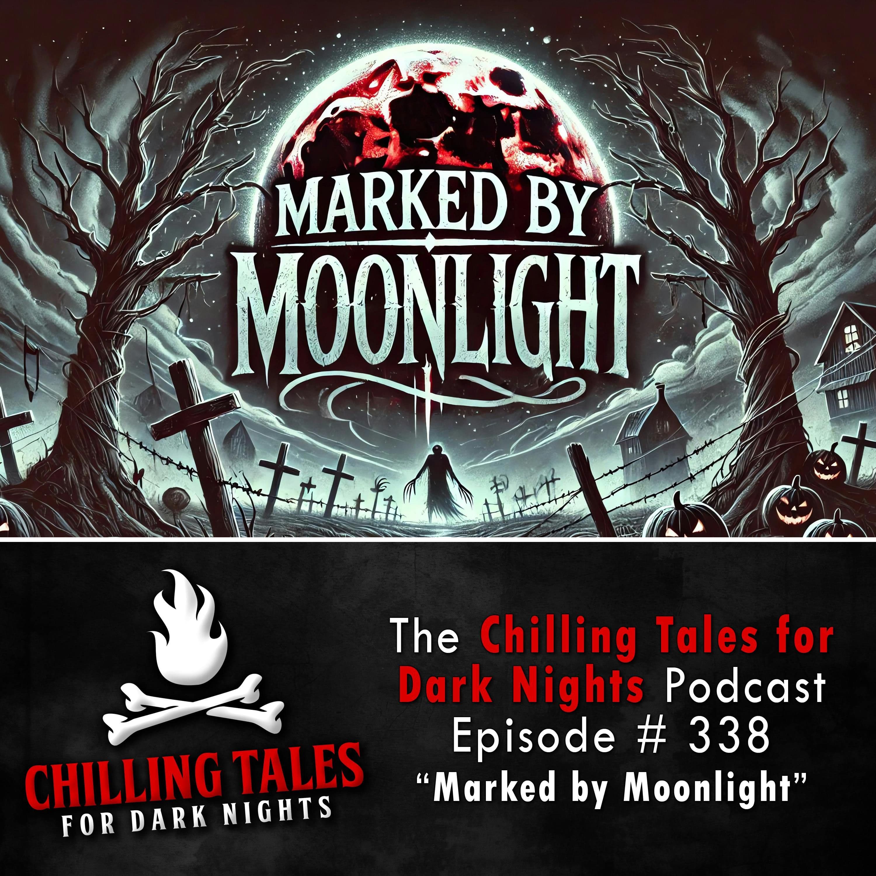 Chilling Tales for Dark Nights — A Horror Fiction Anthology and Scary Stories Series Podcast cover art