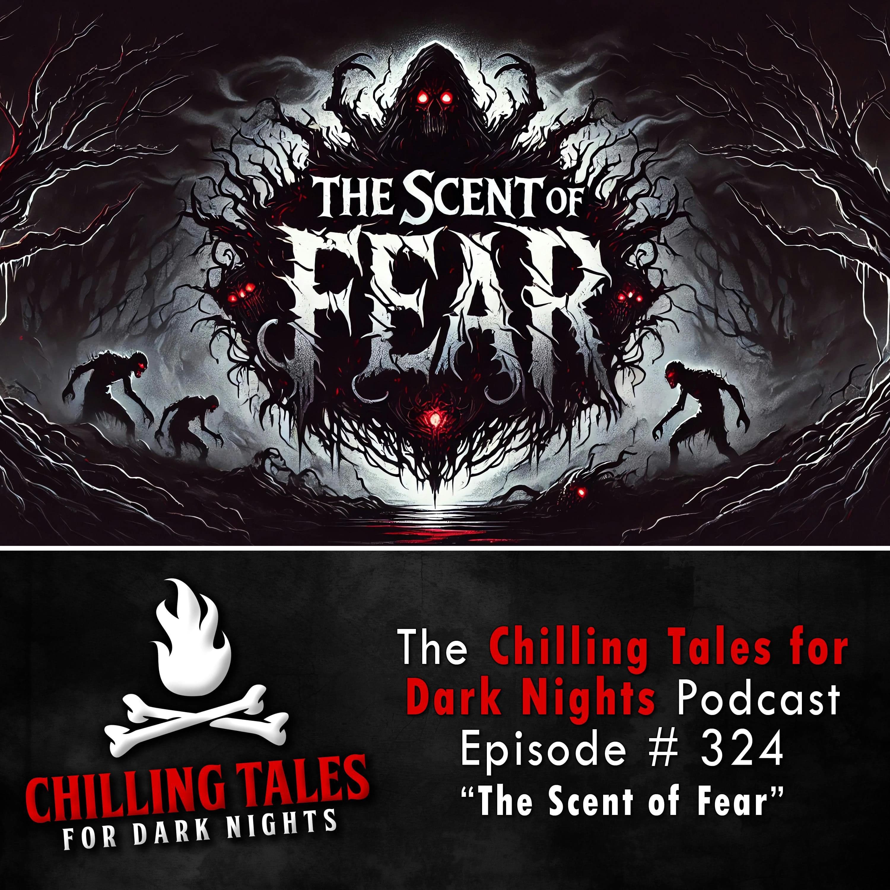 Chilling Tales for Dark Nights — A Horror Fiction Anthology and Scary Stories Series Podcast cover art