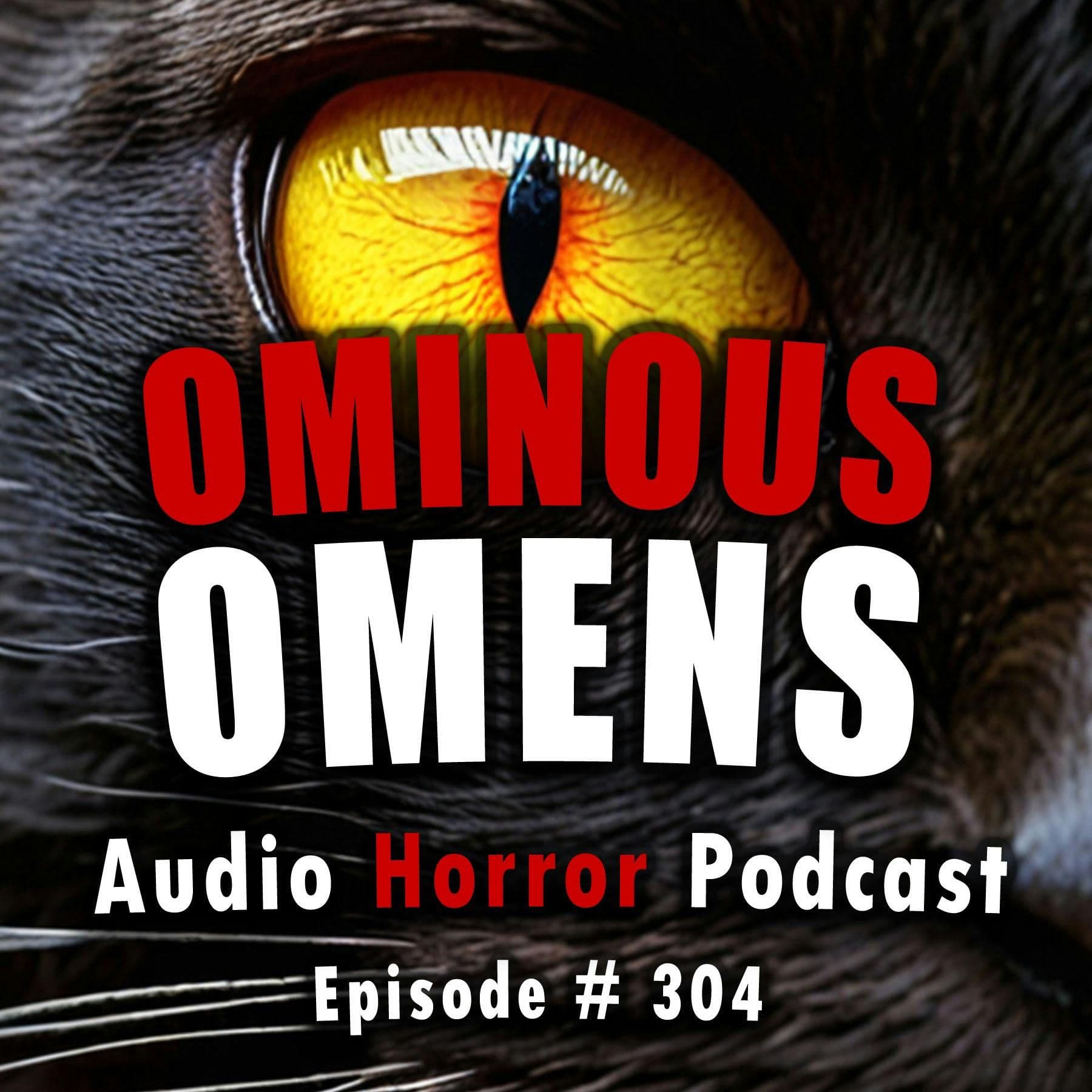 Chilling Tales for Dark Nights — A Horror Fiction Anthology and Scary Stories Series Podcast cover art