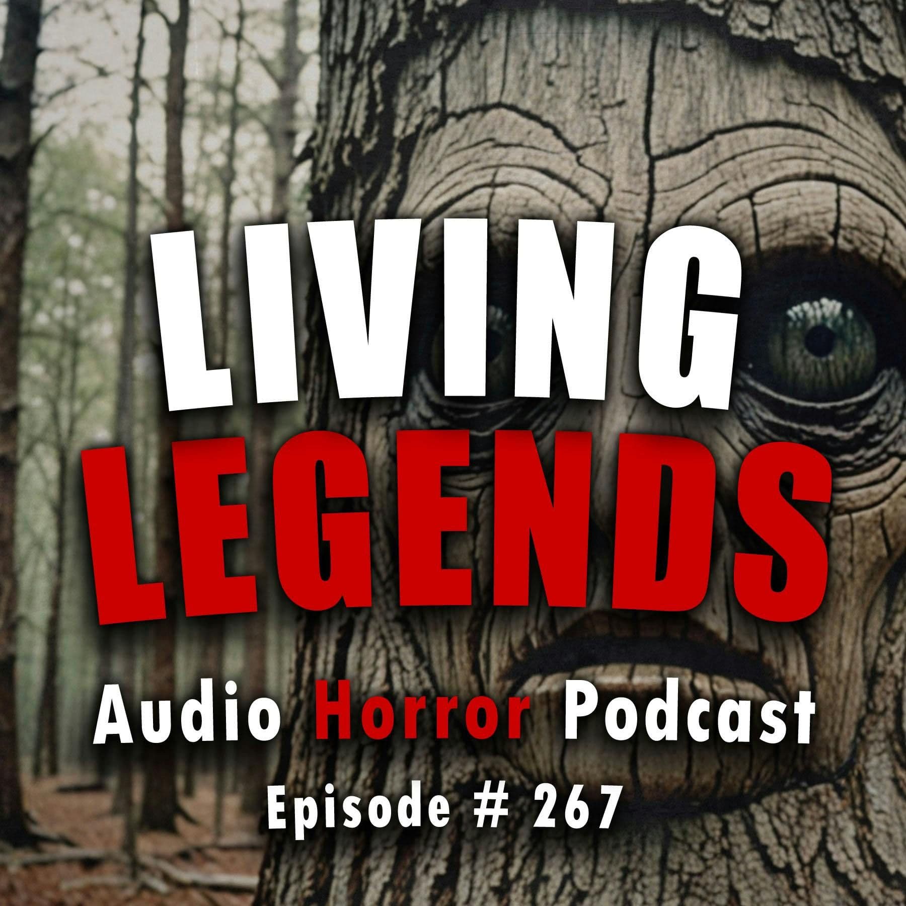 Chilling Tales for Dark Nights — A Horror Fiction Anthology and Scary Stories Series Podcast cover art