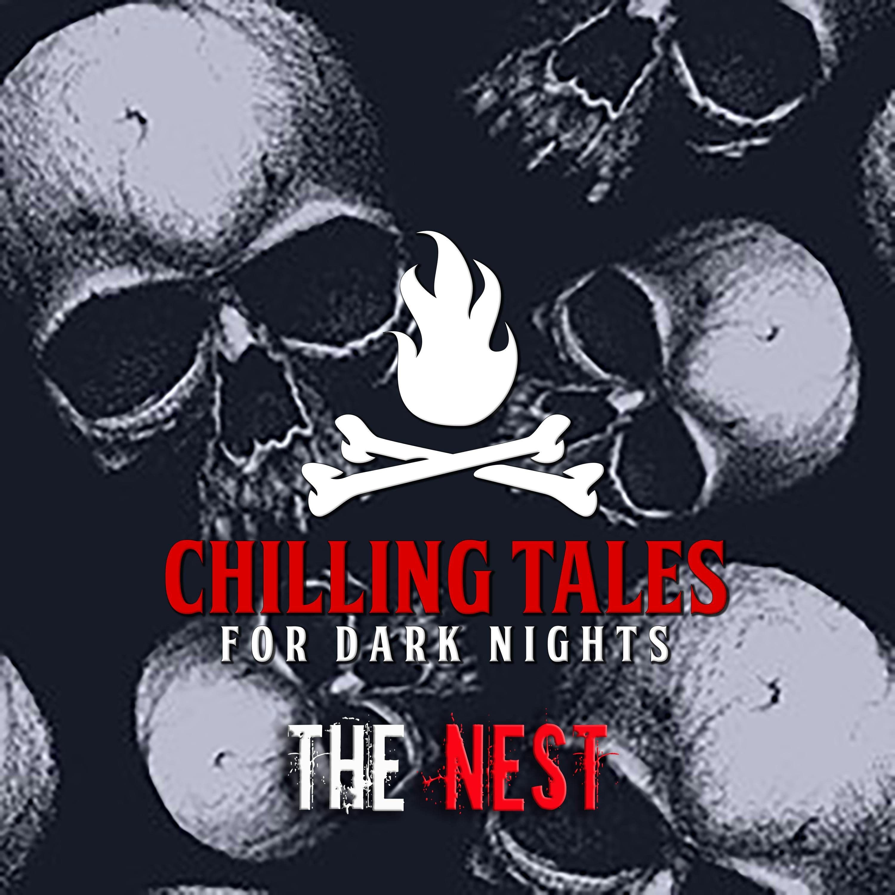 Chilling Tales for Dark Nights — A Horror Fiction Anthology and Scary Stories Series Podcast cover art