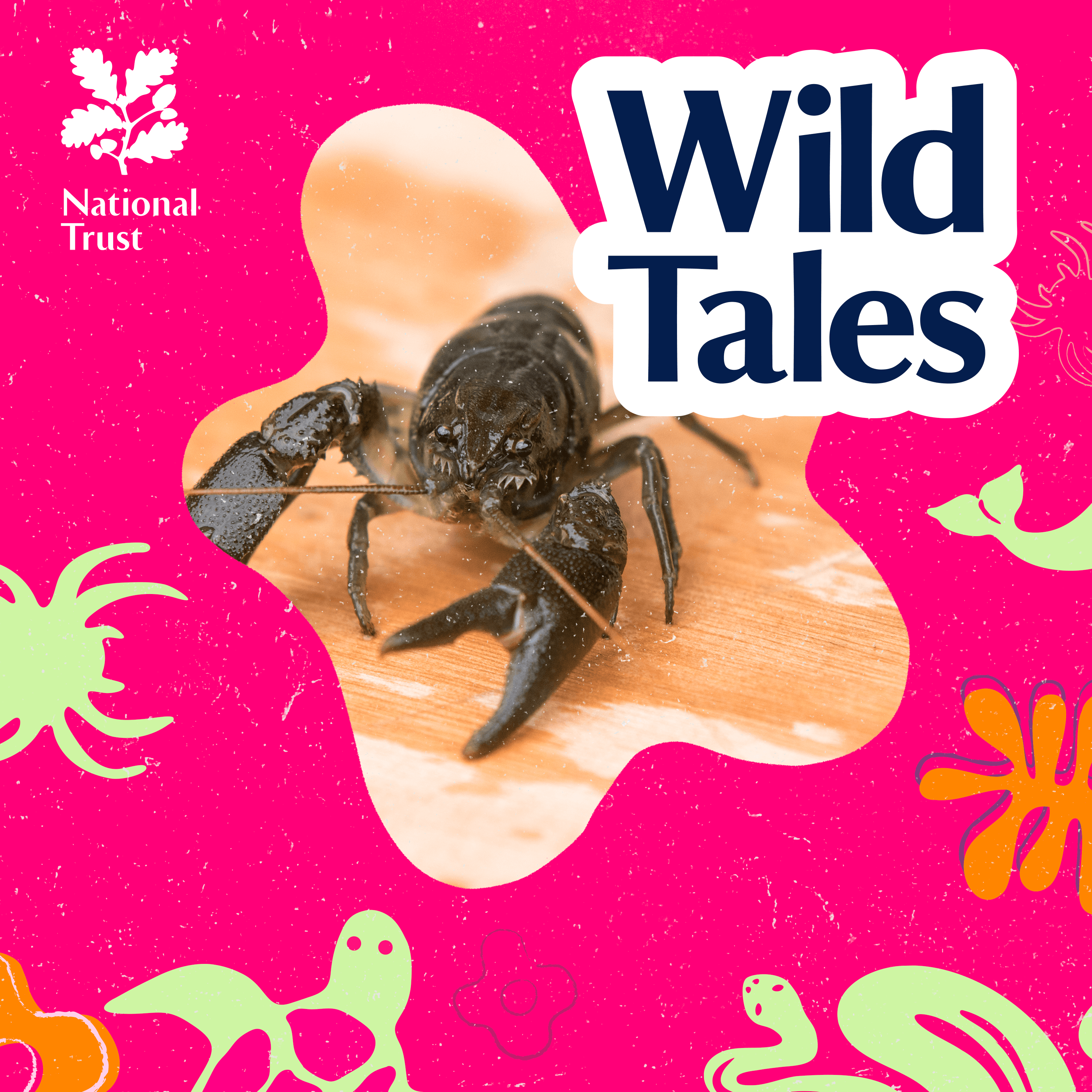 Wild Tales | Nature Podcast cover art