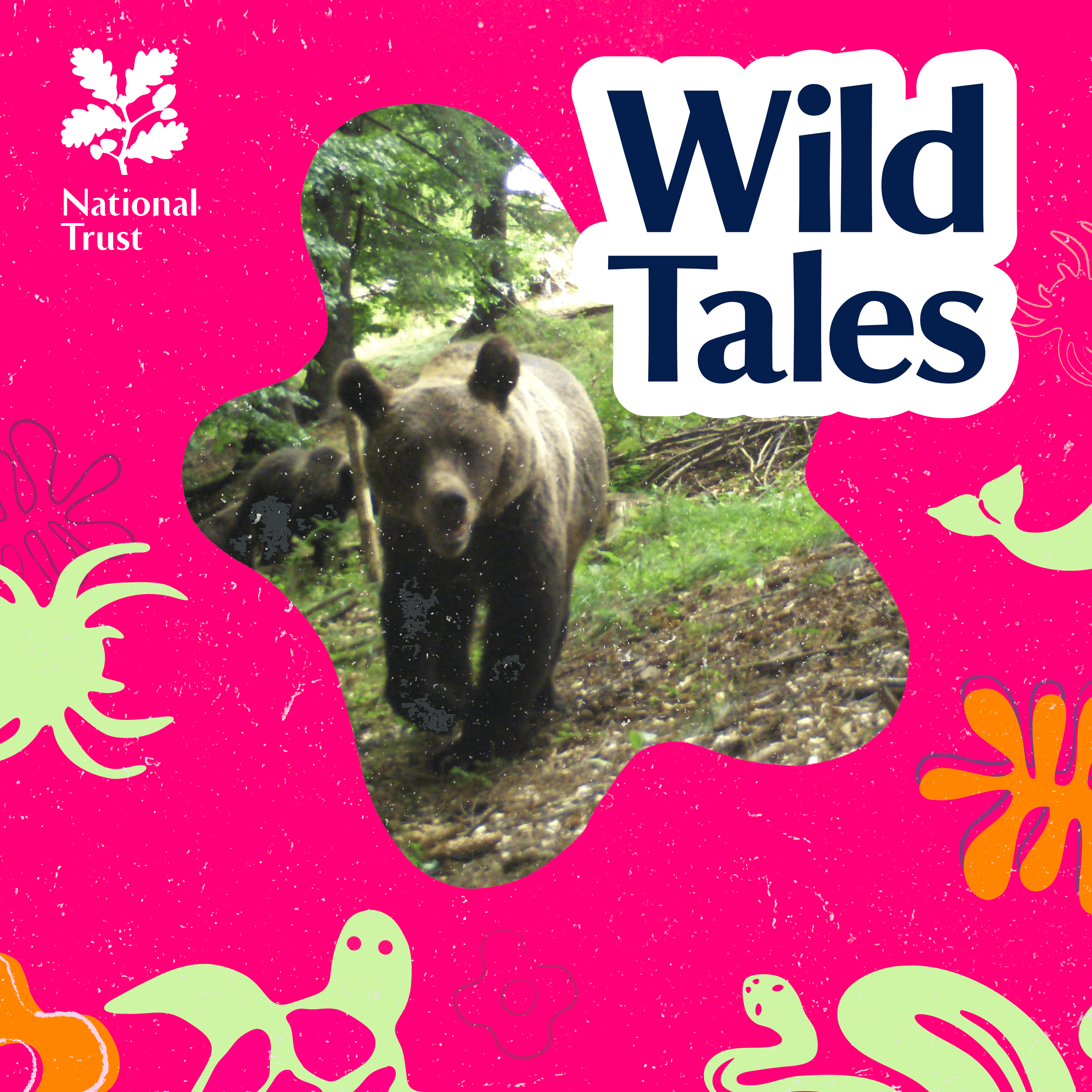Wild Tales | Nature Podcast cover art