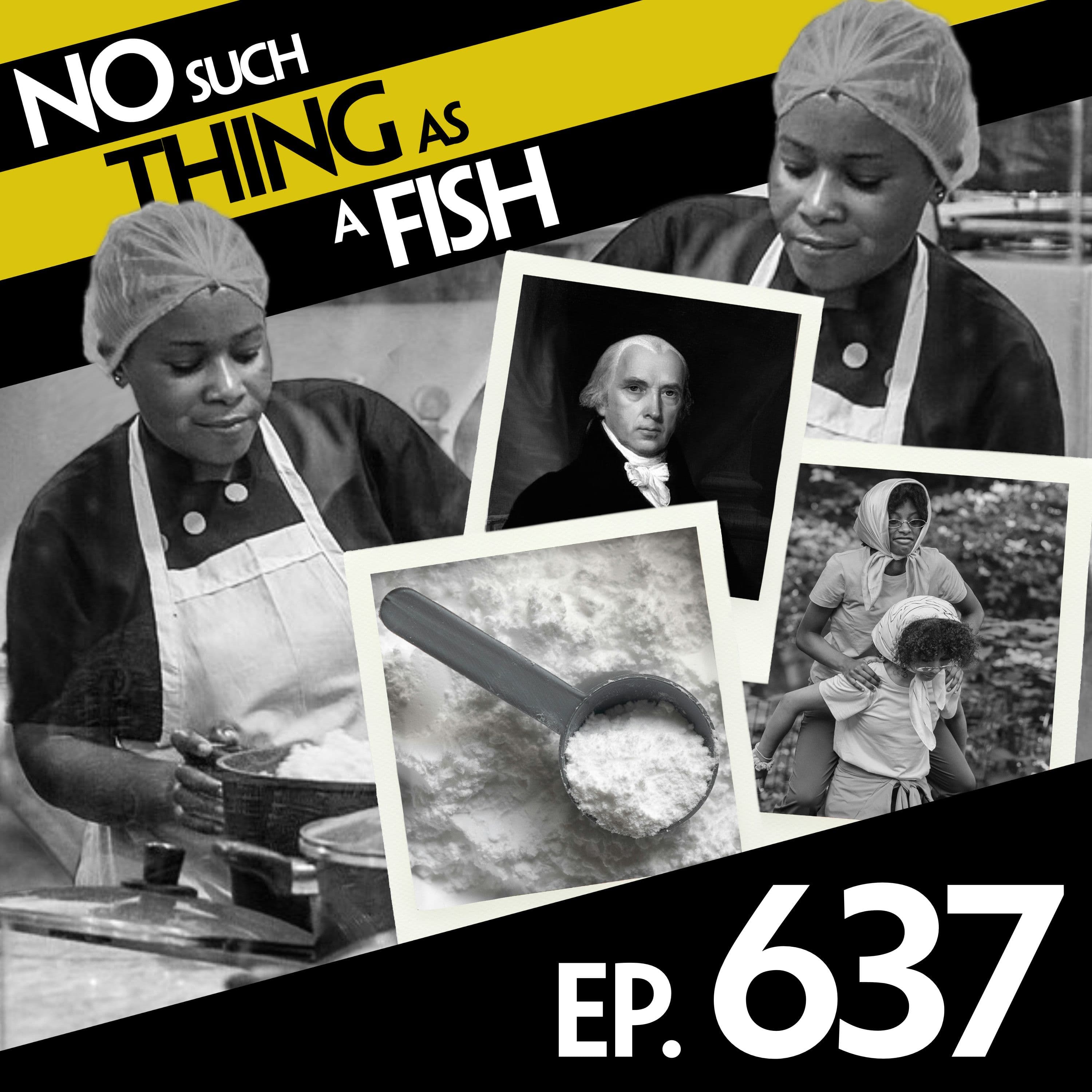 No Such Thing As A Fish podcast cover art