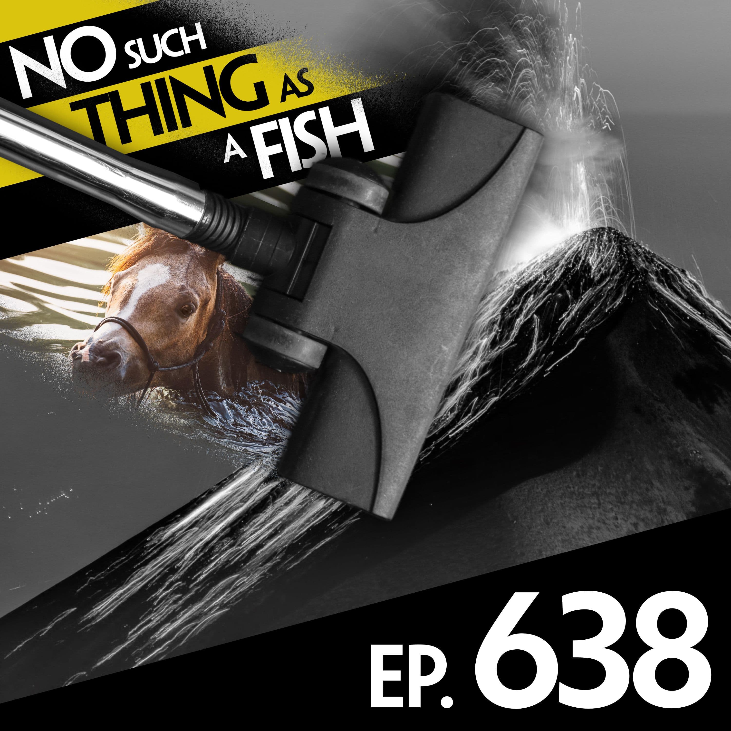 No Such Thing As A Fish podcast cover art