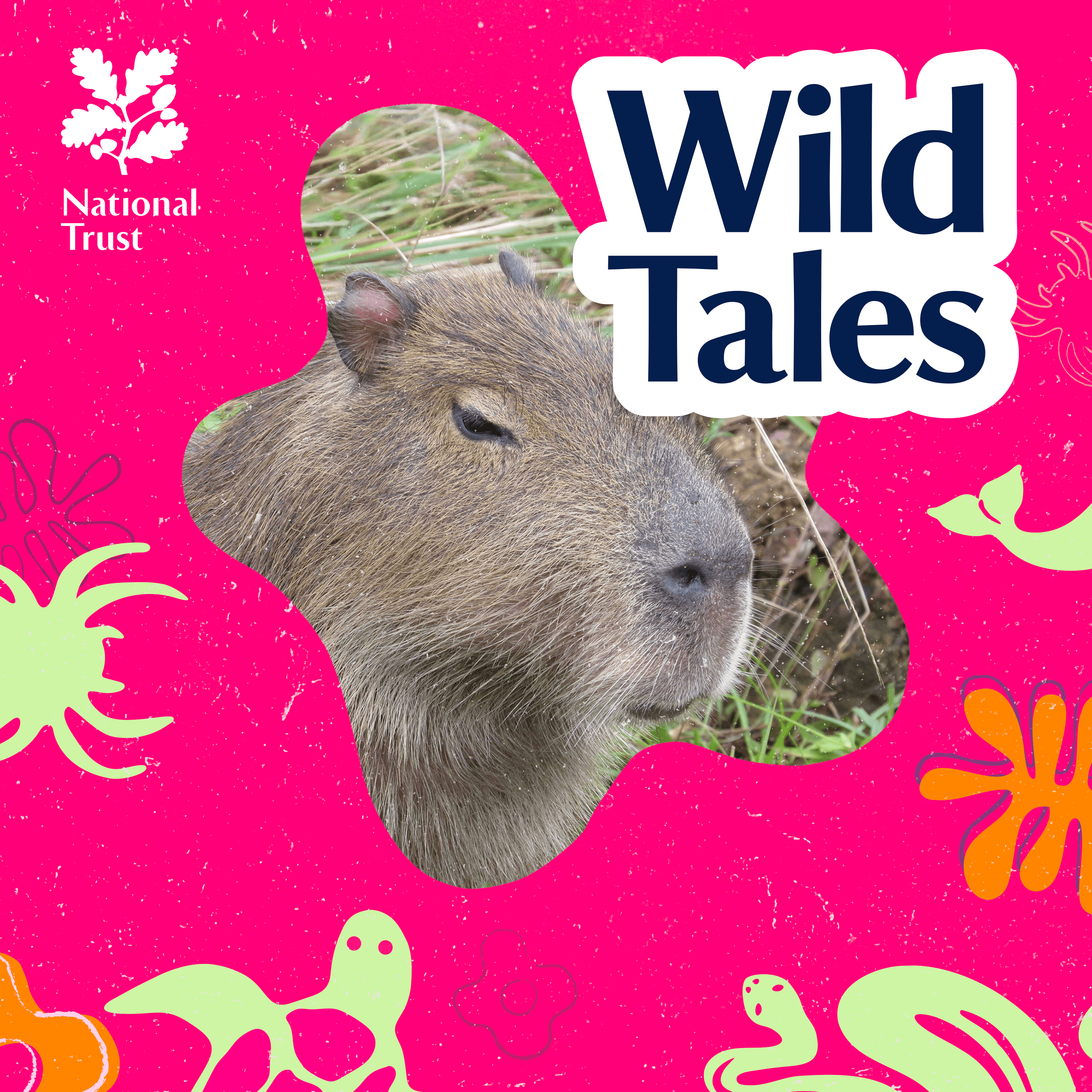 Wild Tales | Nature Podcast cover art