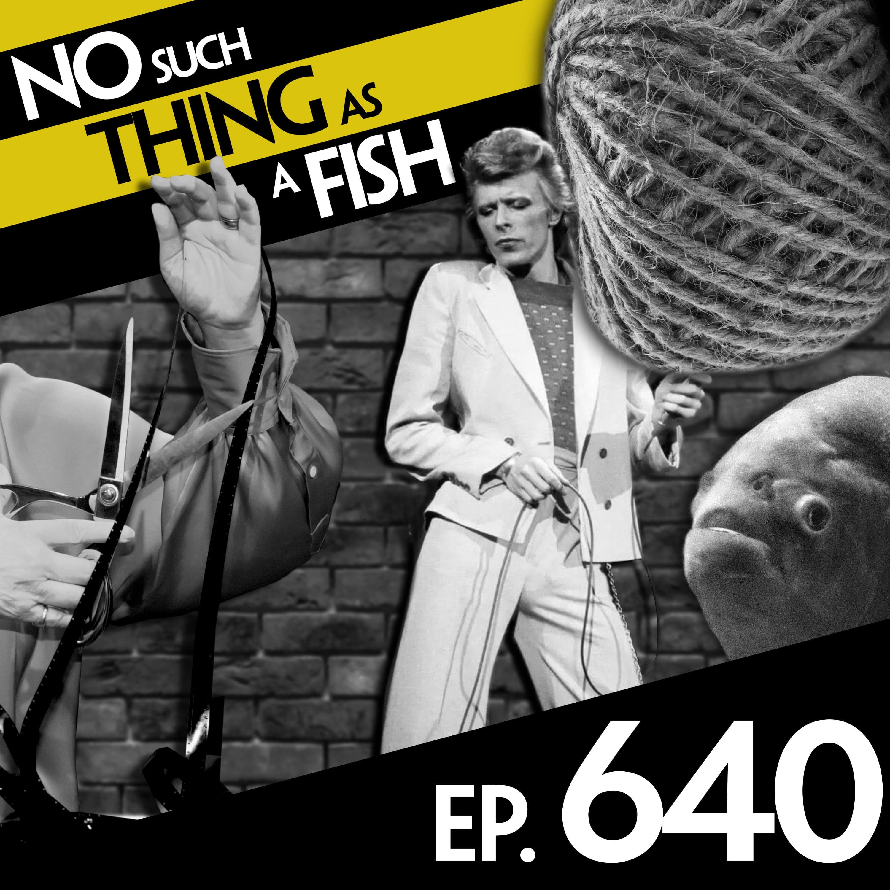 No Such Thing As A Fish podcast cover art