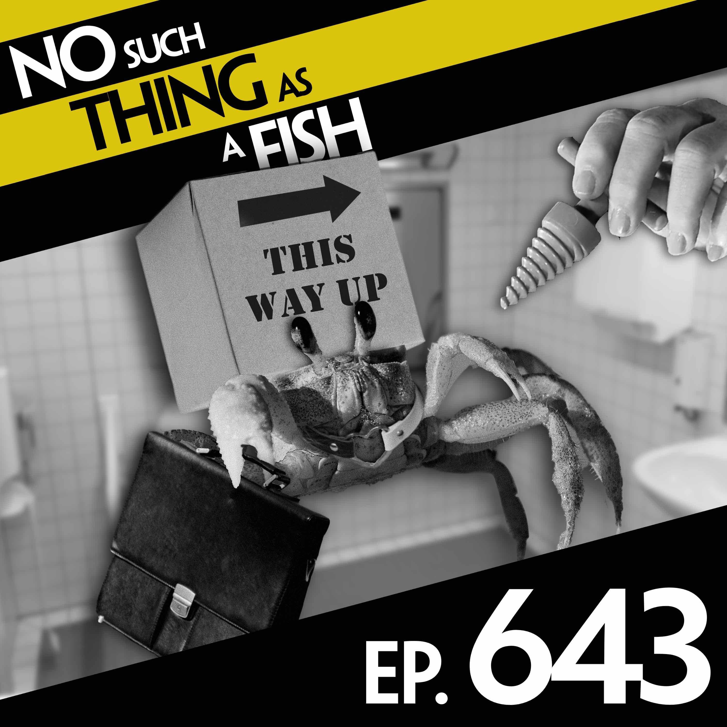 No Such Thing As A Fish podcast cover art