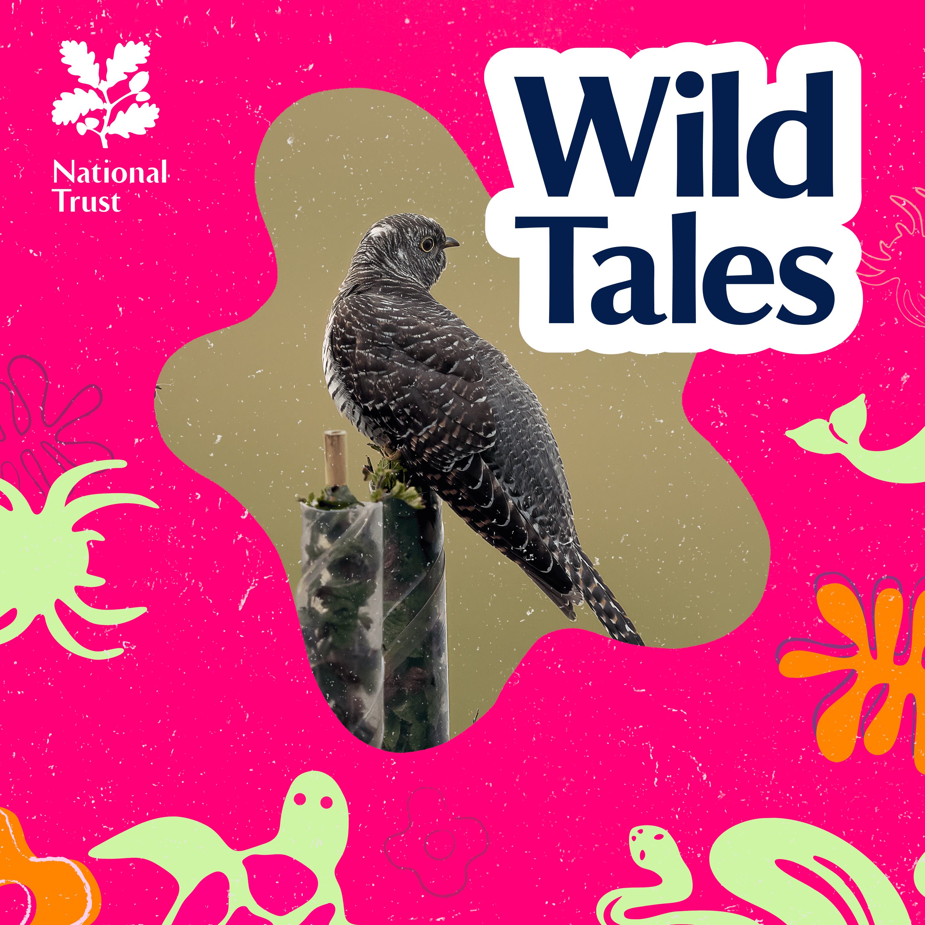 Wild Tales | Nature Podcast cover art