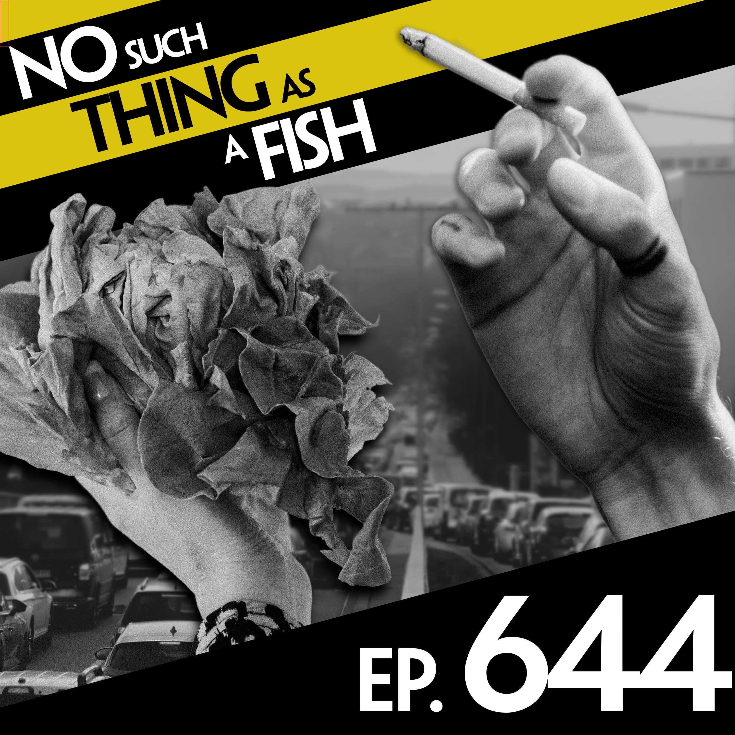 No Such Thing As A Fish podcast cover art