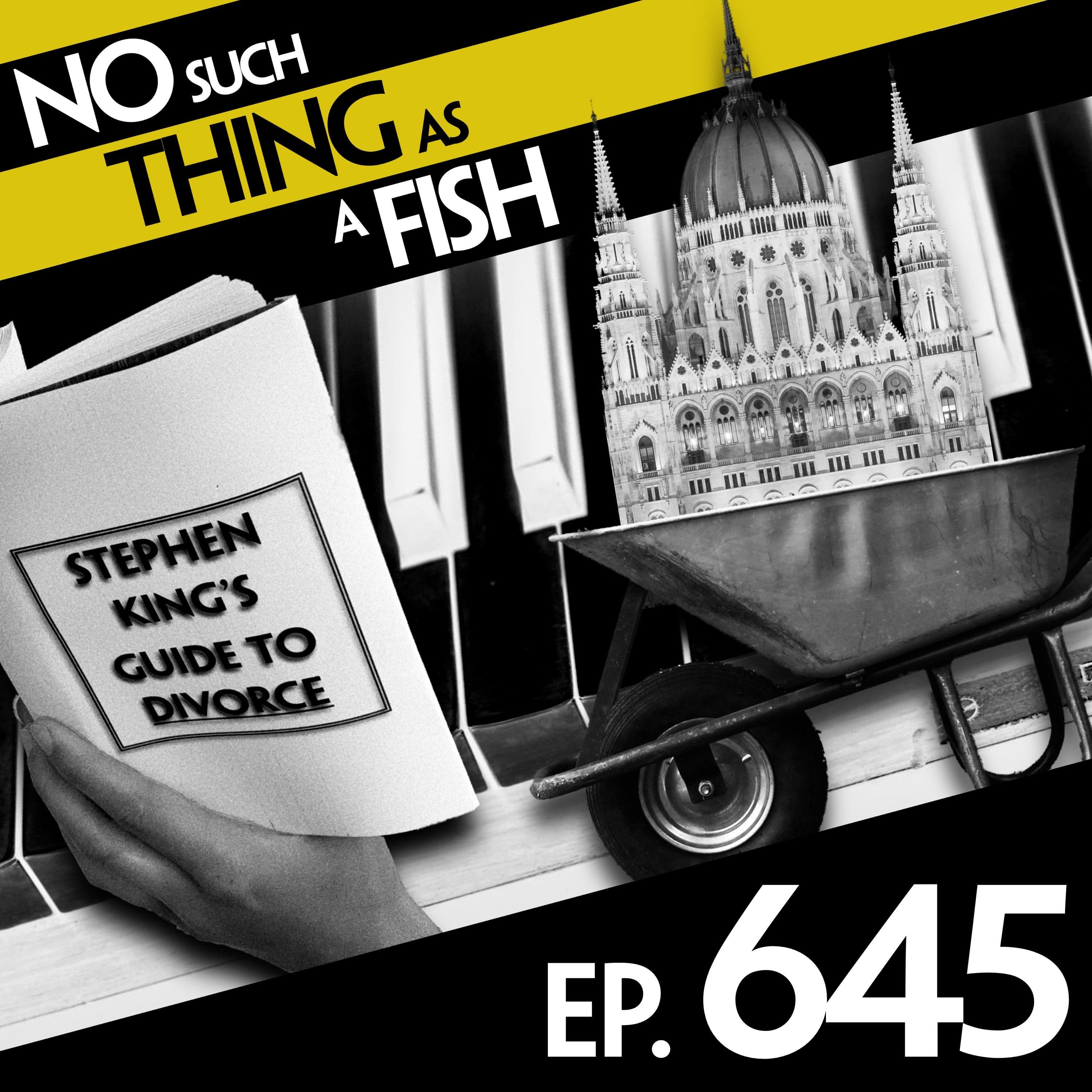 No Such Thing As A Fish podcast cover art