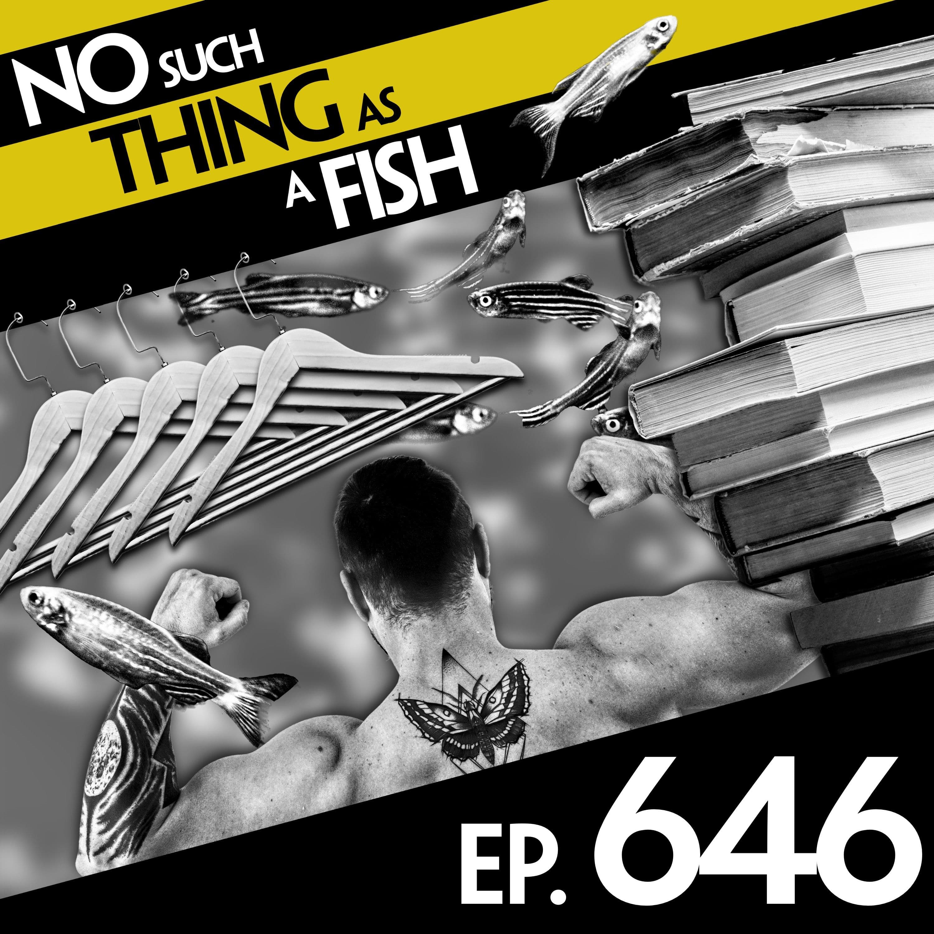 No Such Thing As A Fish podcast cover art