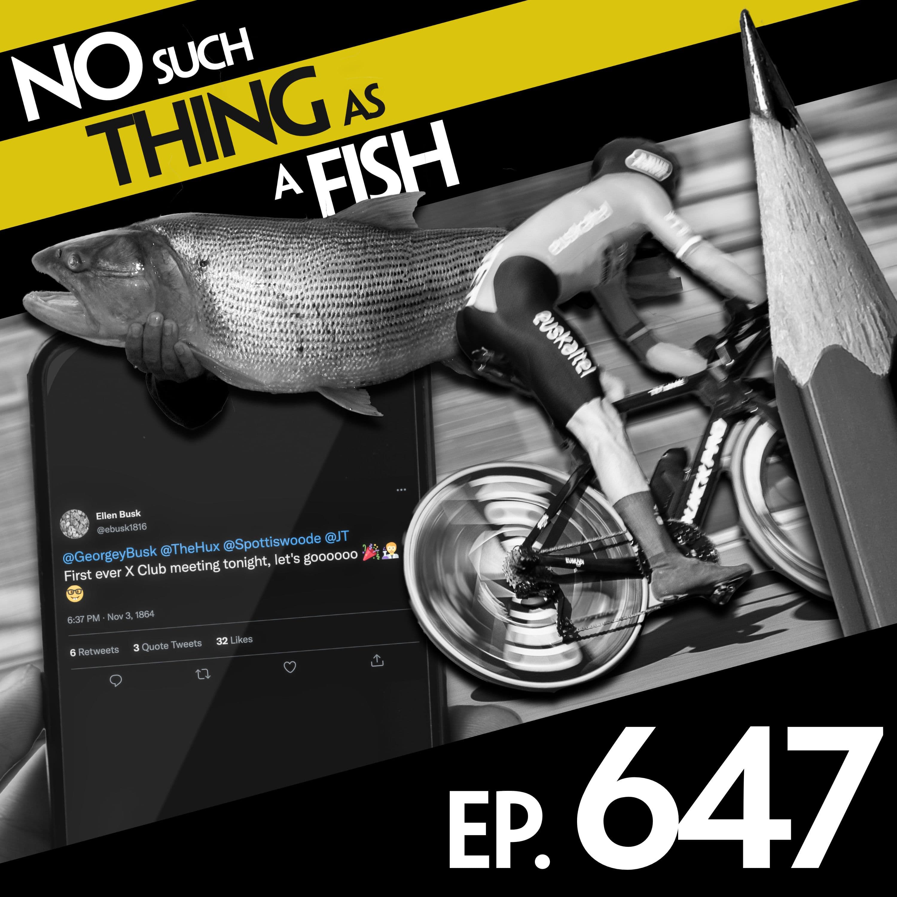 No Such Thing As A Fish podcast cover art