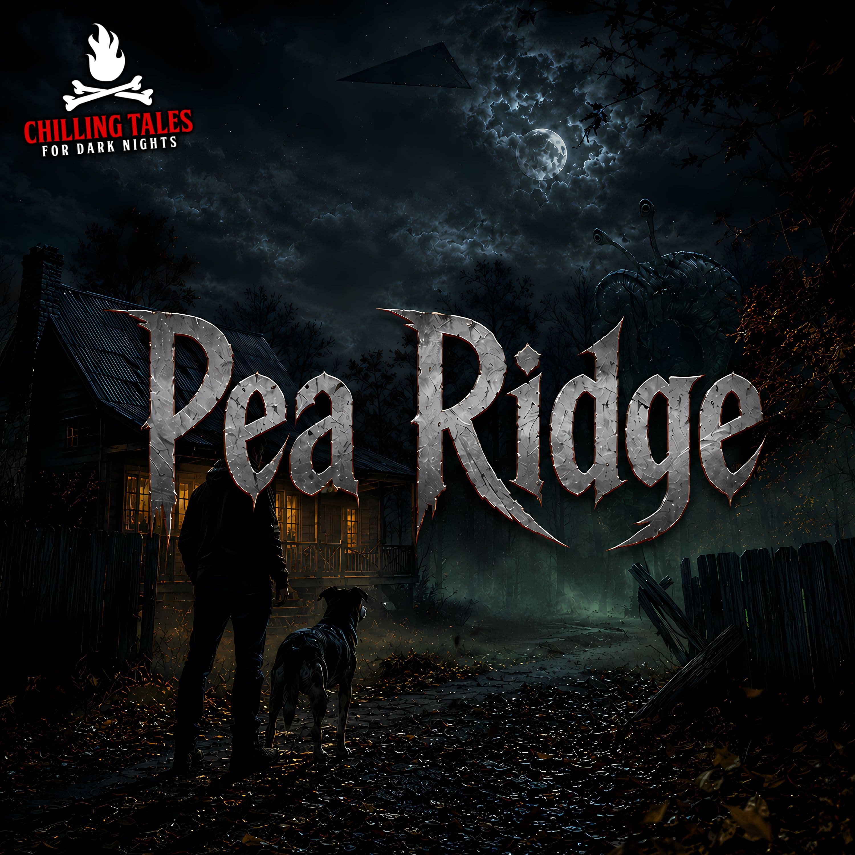 Chilling Tales for Dark Nights — A Horror Fiction Anthology and Scary Stories Series Podcast cover art