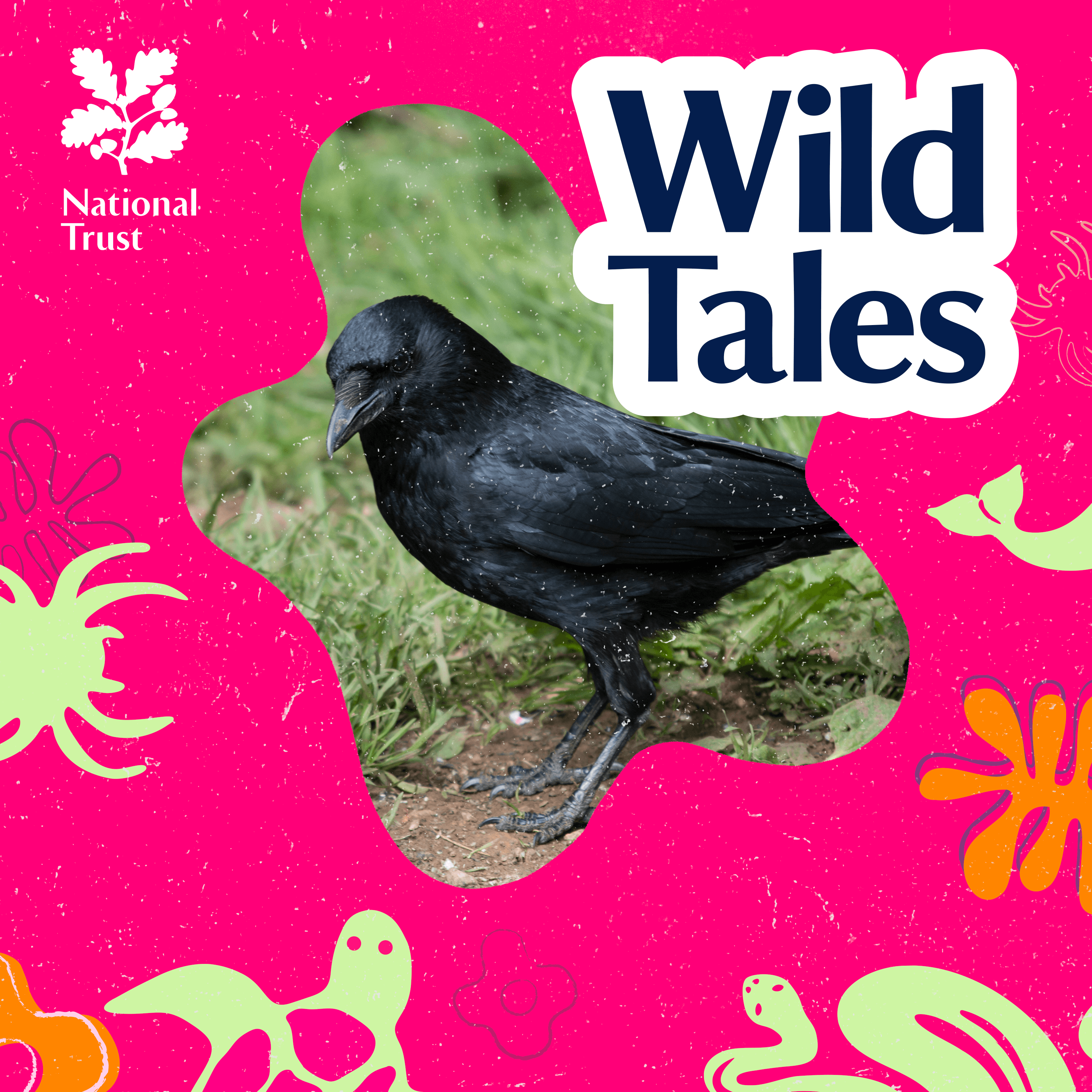 Wild Tales | Nature Podcast cover art