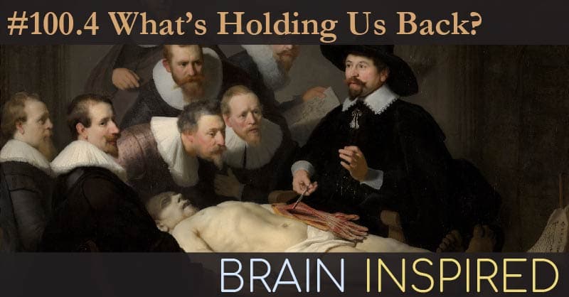 Brain Inspired podcast cover art
