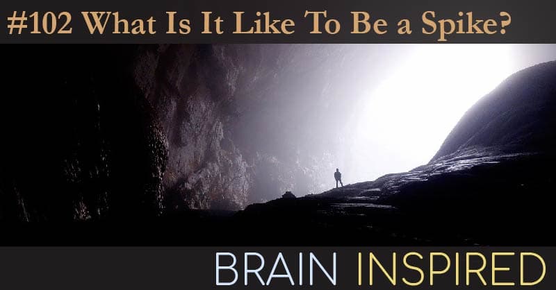Brain Inspired podcast cover art