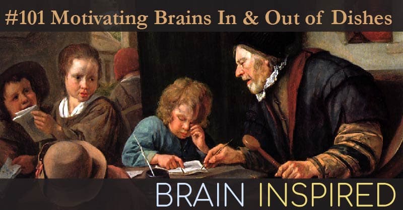 Brain Inspired podcast cover art