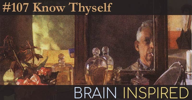 Brain Inspired podcast cover art