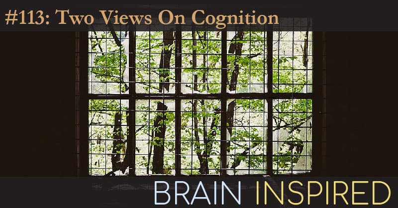 Brain Inspired podcast cover art