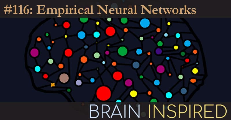Brain Inspired podcast cover art