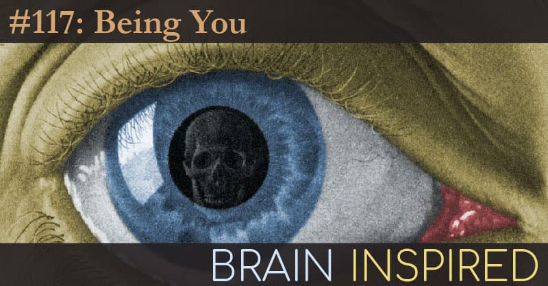 Brain Inspired podcast cover art