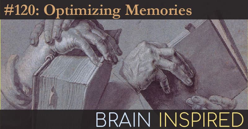 Brain Inspired podcast cover art