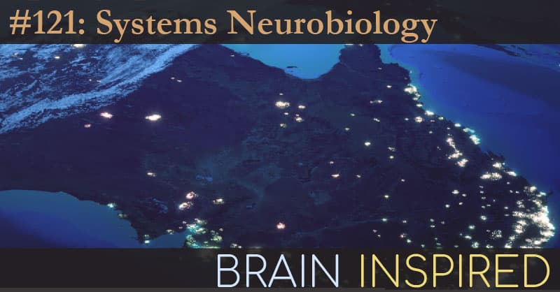 Brain Inspired podcast cover art