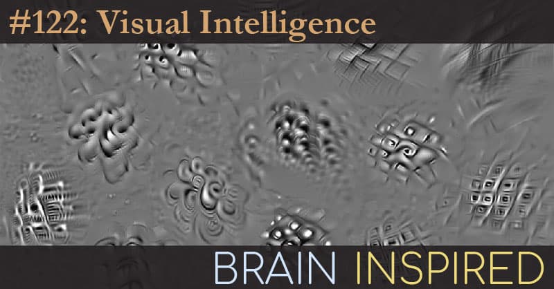 Brain Inspired podcast cover art