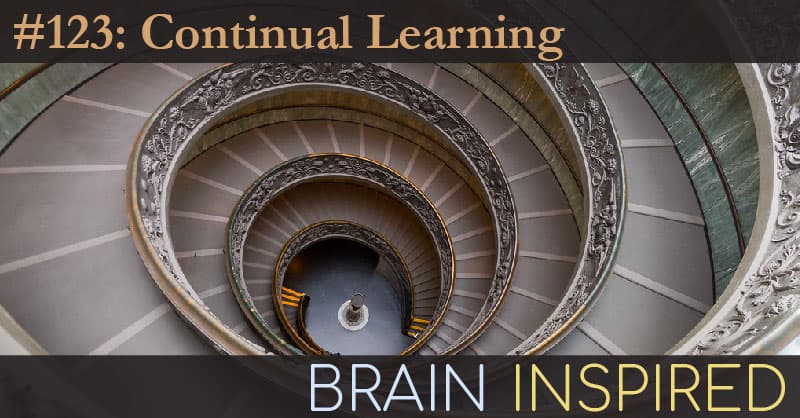 Brain Inspired podcast cover art