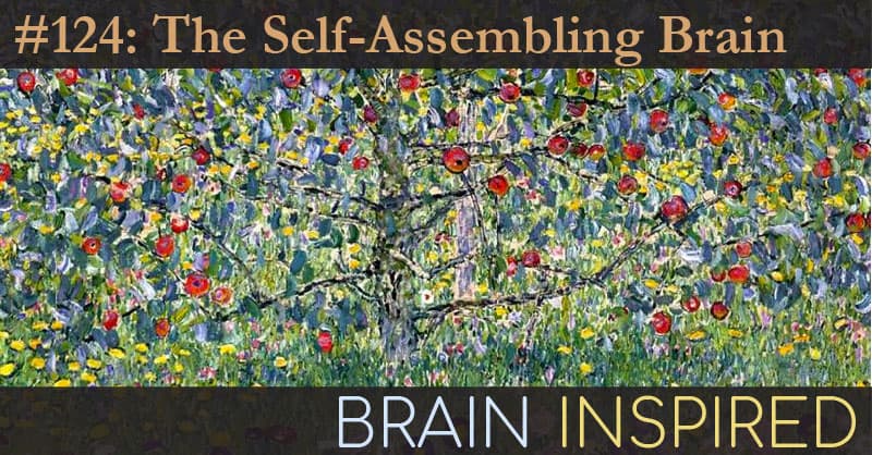 Brain Inspired podcast cover art