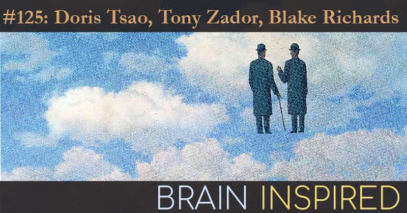 Brain Inspired podcast cover art