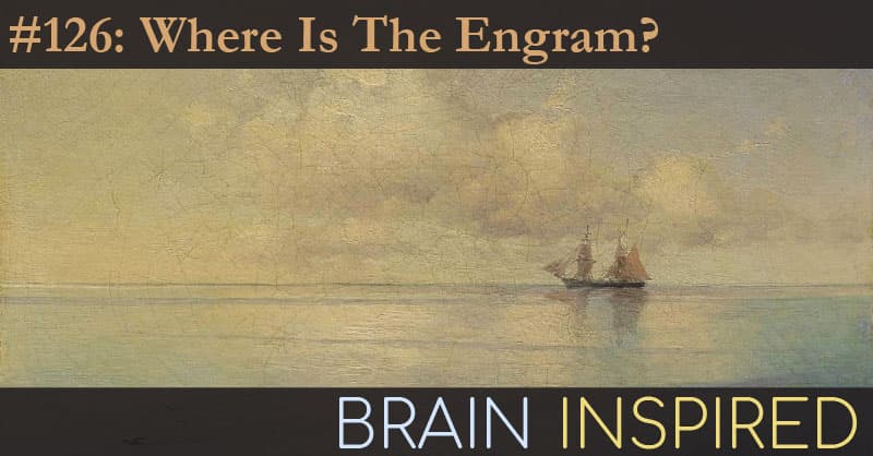 Brain Inspired podcast cover art