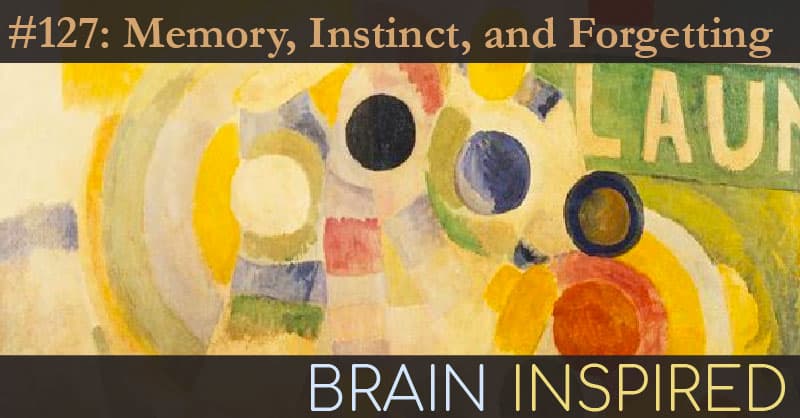 Brain Inspired podcast cover art