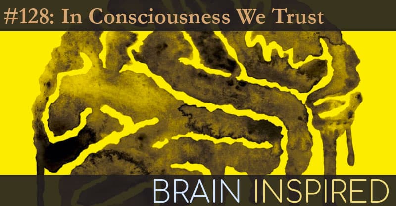 Brain Inspired podcast cover art