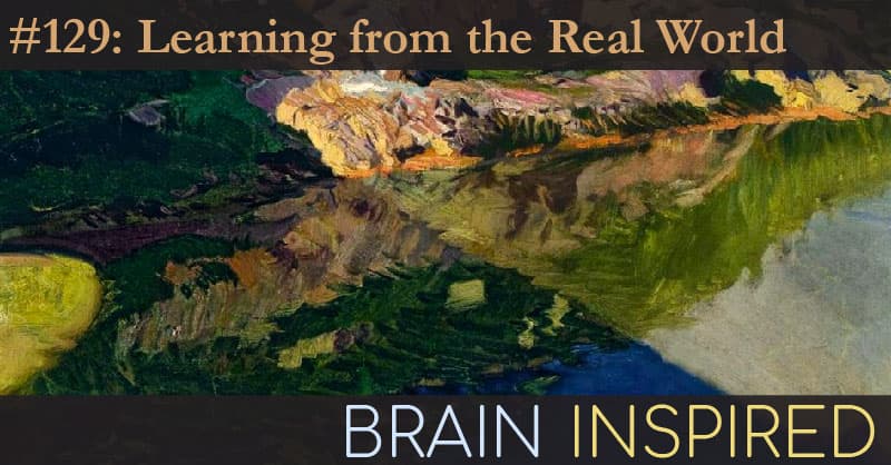 Brain Inspired podcast cover art