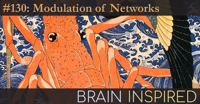 Brain Inspired podcast cover art