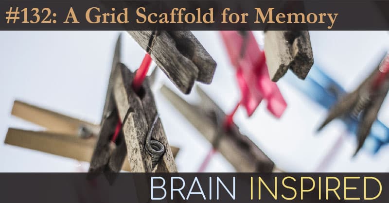 Brain Inspired podcast cover art