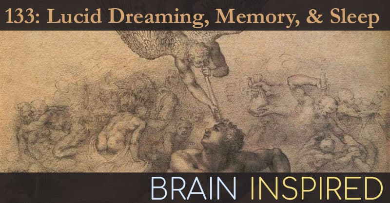 Brain Inspired podcast cover art