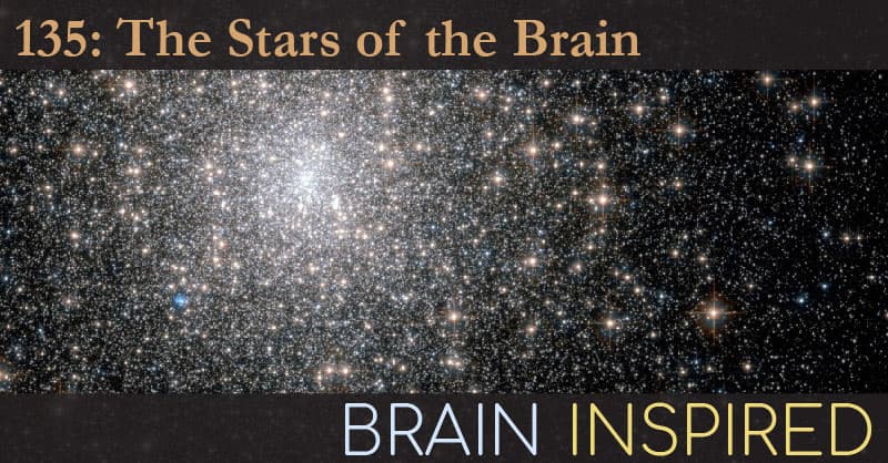 Brain Inspired podcast cover art